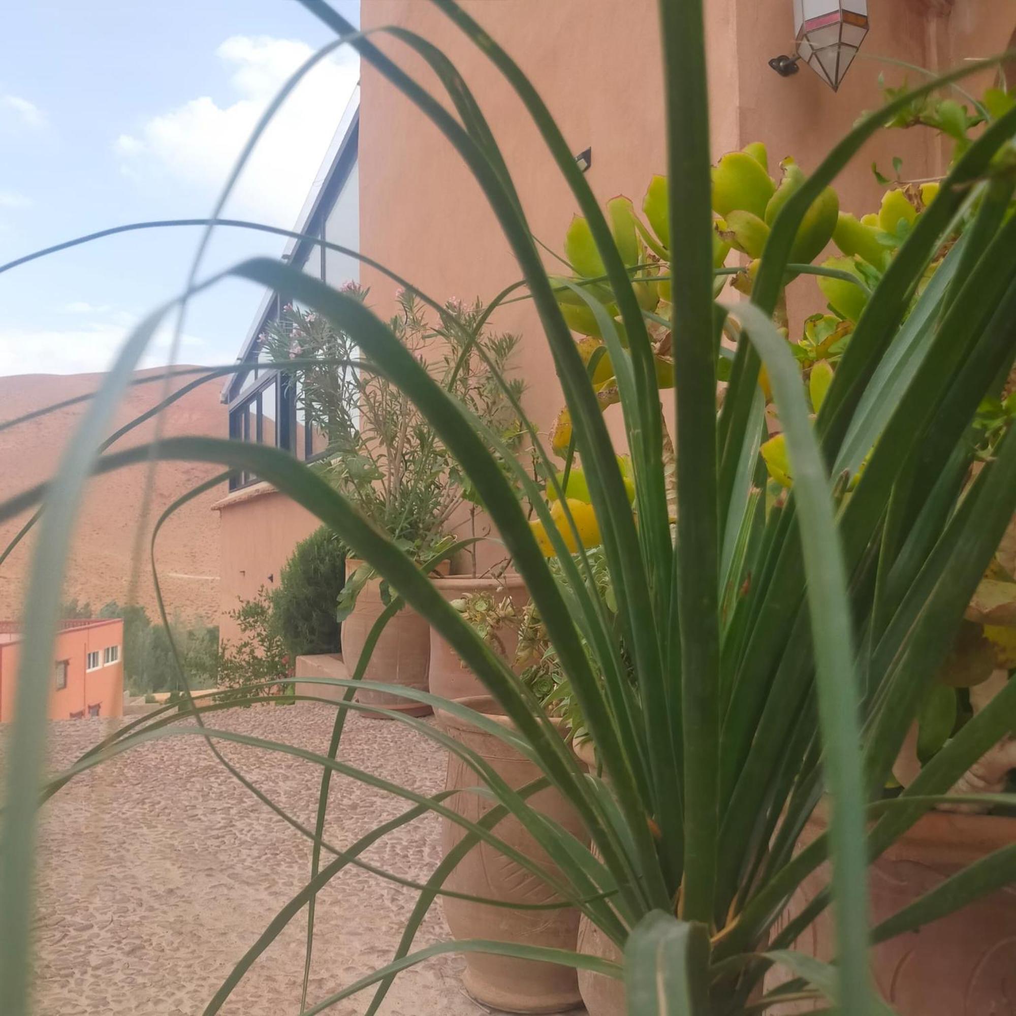 Kasbah Flilou Hotell Ait Ougliff Exteriör bild